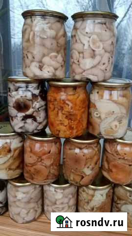 Грибы соленые Рославль - изображение 1
