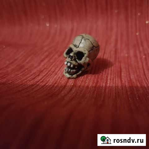 Череп маленький Ростов-на-Дону - изображение 1
