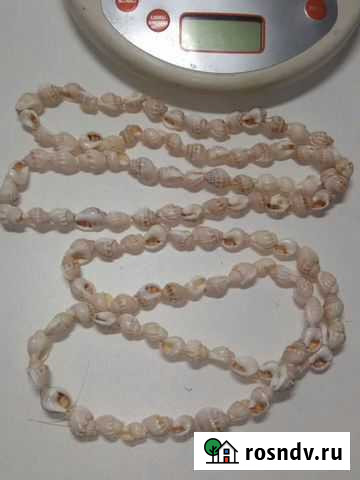 СССР антикварные бусы ракушка Махачкала - изображение 1