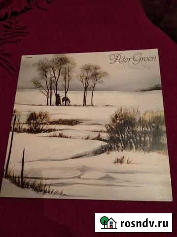 Peter Green, Chris Rea, James Brown,Genesis Санкт-Петербург - изображение 1