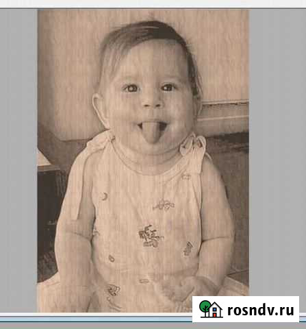 Портреты на дереве Воронеж - изображение 1