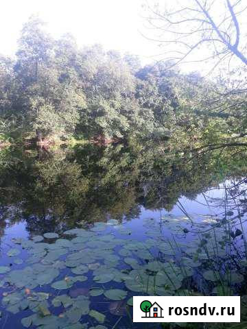 Участок СНТ, ДНП 2200 сот. на продажу в Лосево Лосево - изображение 1