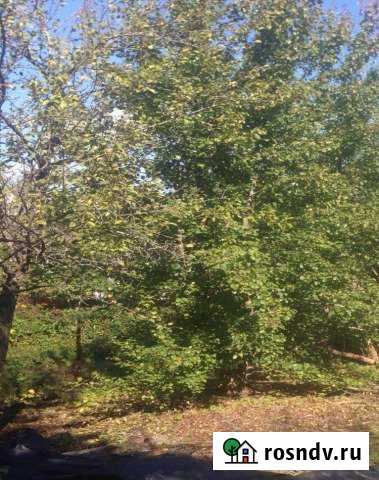 Участок СНТ, ДНП 6 сот. на продажу в Икше Икша - изображение 1