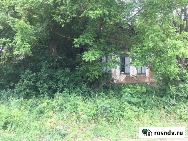 Участок ИЖС 33 сот. на продажу в Больших Салах Большие Салы - изображение 1