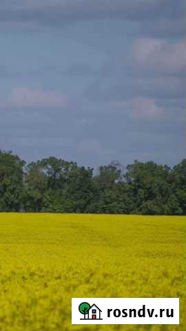 Приму грунт бесплатно Рыбинск - изображение 1