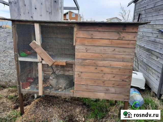 Клетки для кроликов бу Снегири - изображение 1