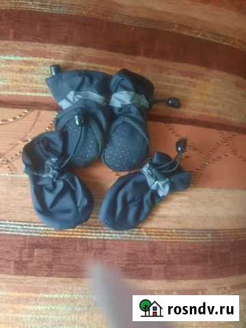 Одежда для маленьких собак Псков - изображение 1