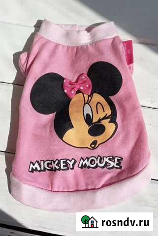 Одежда для животных Кировск - изображение 1