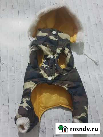 Комбинезон для маленьких пород собак Красноярск - изображение 1