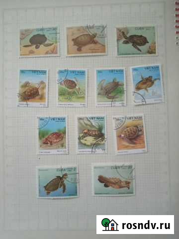 Марки. Черепахи. Куба и Вьетнам Троицк - изображение 1