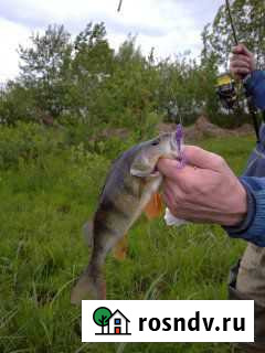 Силиконовые приманки (реплика) Тверь - изображение 1