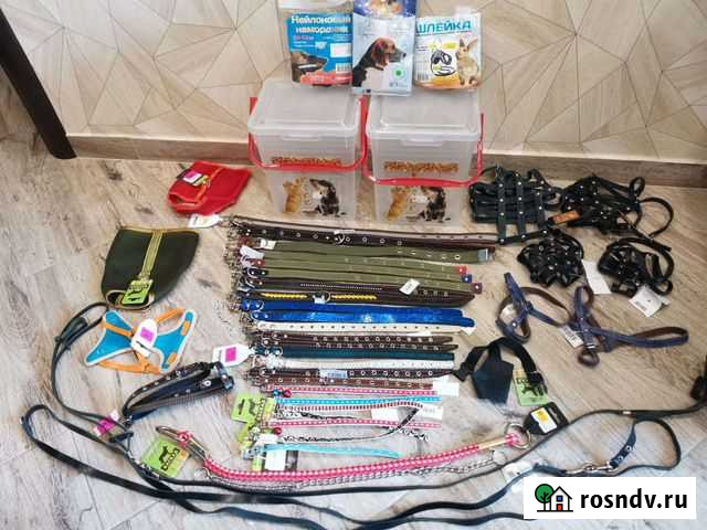 Амуниция. Ошейники, поводки, шлейки Калининград - изображение 1