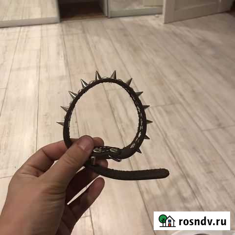 Ошейник для маленькой собаки Череповец - изображение 1