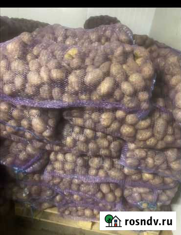 Продам картофель оптом и в розницу Азов - изображение 1