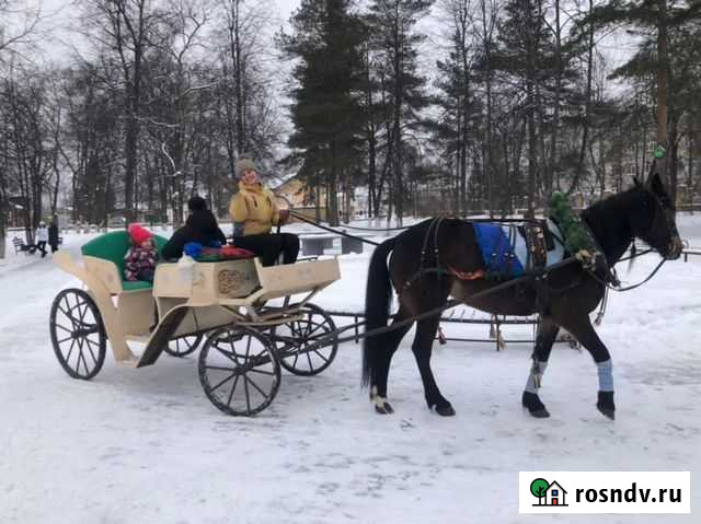 Карета на торжество, фотосессию Боровичи - изображение 1