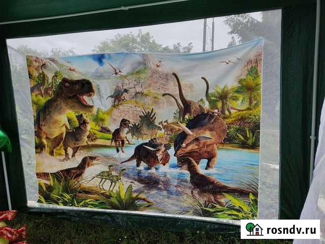 Фотофон виниловый динозавры Казань - изображение 1