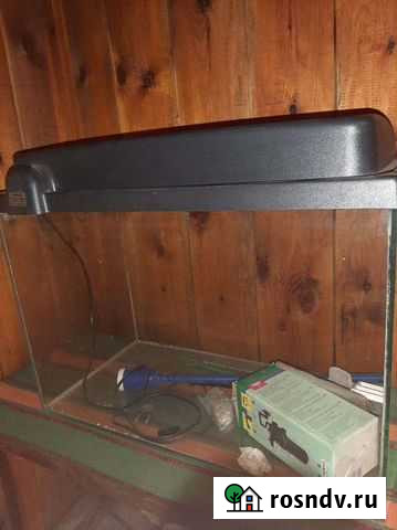 Аквариум Новосибирск - изображение 1