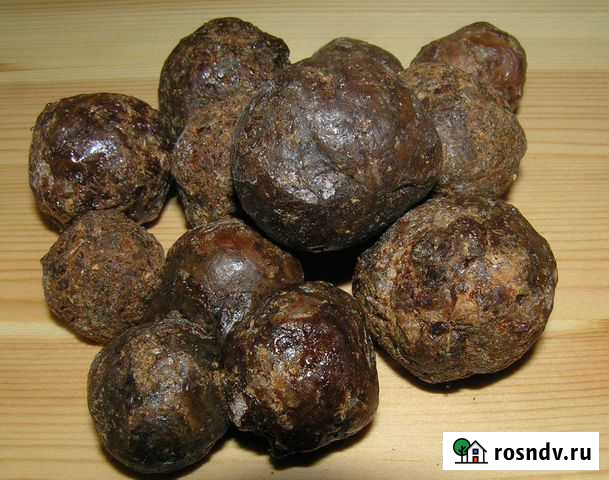 Прополис Красноярск - изображение 1