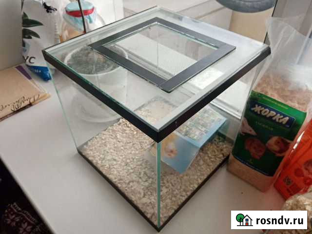 Террариум Хабаровск - изображение 1