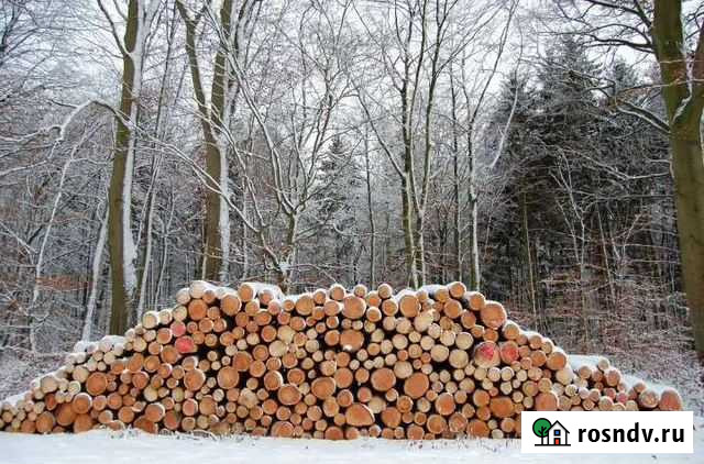 Лес на строительство жилого дома, лесобилет Кострома - изображение 1