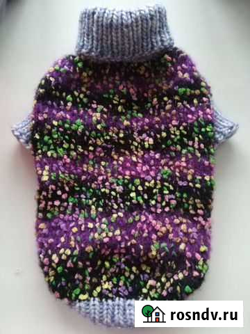 Вязаная одежда для собак Ковров - изображение 1