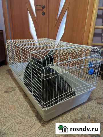 Клетка Симферополь - изображение 1