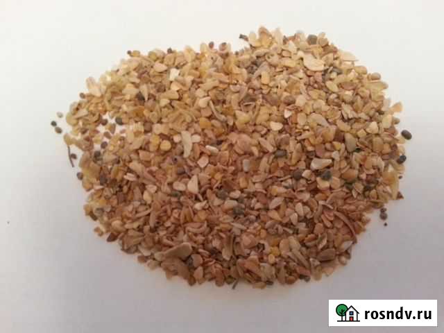 Ракушка морская кормовая Махачкала - изображение 1