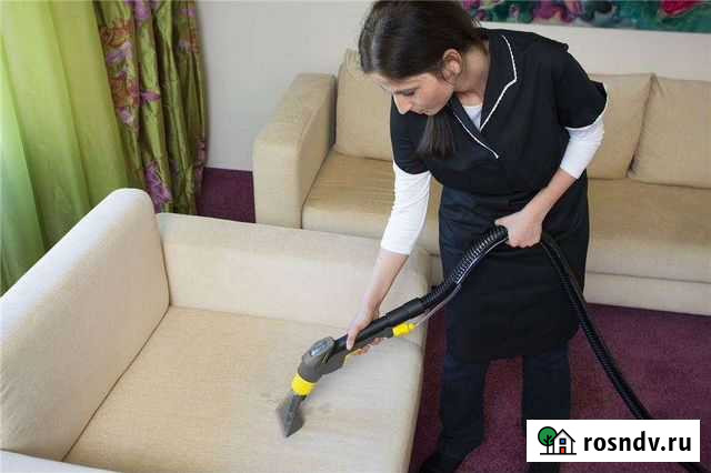 Аренда моющего пылесоса Karcher, пароочистителя, с Калининград - изображение 1