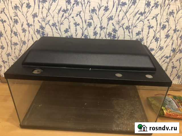 Аквариум Иркутск - изображение 1