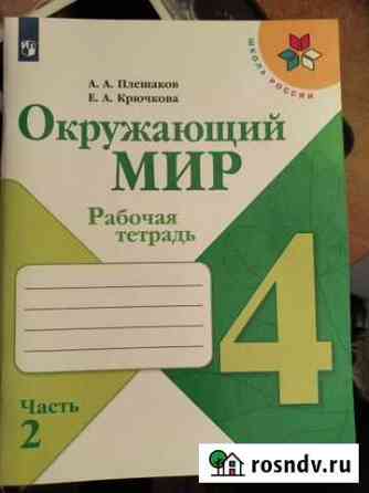 Рабочая тетрадь Окружающий мир 4 класс Саратов
