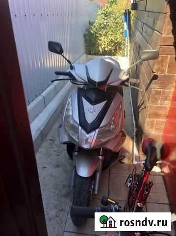 Irbis Grace Бердск - изображение 1