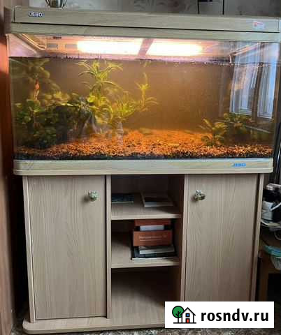 Аквариум Челябинск - изображение 1