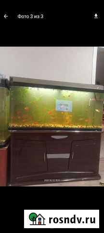 Аквариум Краснокаменск - изображение 1
