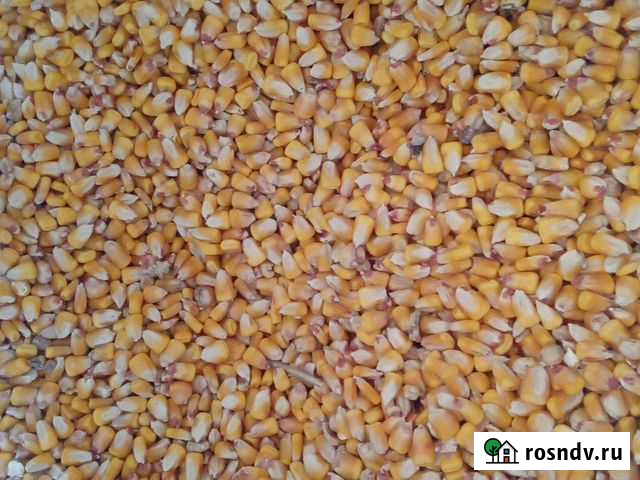 Кукуруза, ячмень, овёс, пшеница, отруби, гранулиро Кабардинка - изображение 1