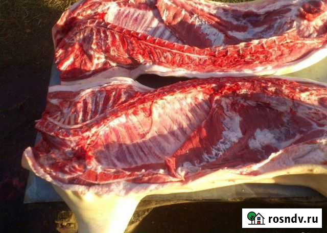 Домашнее Мясо свинины,деревенское,натуральное Саранск - изображение 1