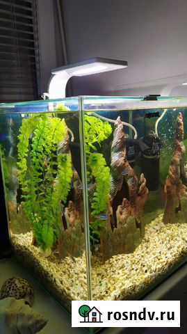 Аквариум Aquael 30л Красноярск - изображение 1