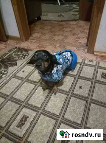 Теплый комбинезон кензоша Тверь - изображение 1