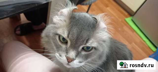 Выгул собак Нижневартовск - изображение 1