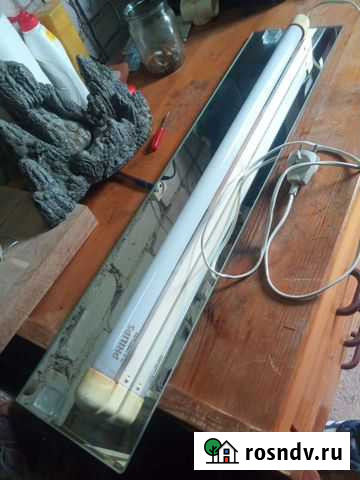 Для аквариума Калуга - изображение 1