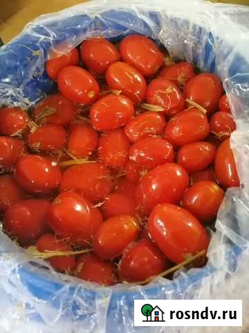 Бесплатно Томаты красные солёные всем добрым людям Камышин - изображение 1