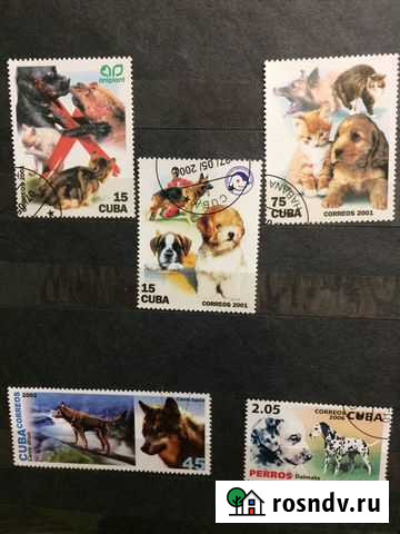 Марки Куба собаки/кошки Хабаровск - изображение 1