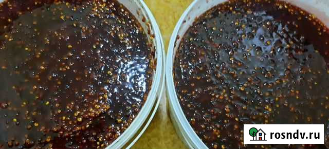 Лимонник китайский Оптом Владивосток - изображение 1