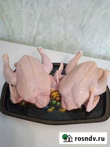 Мясо кур бройлеров Столбовая - изображение 1