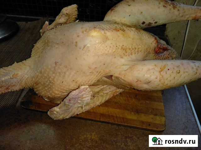 Мясо индейки Смоленск - изображение 1