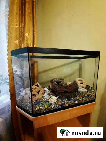 Аквариум с комодом Екатеринбург - изображение 1
