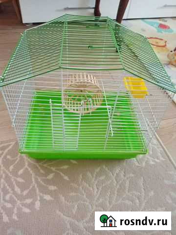 Клетка Кемерово - изображение 1