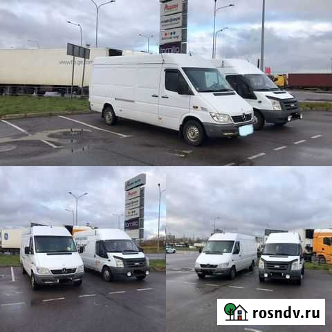 Грузоперевозки переезды Мурино - изображение 1