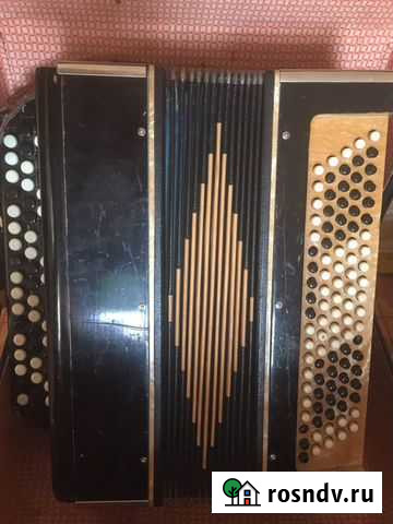 Баян Омск - изображение 1