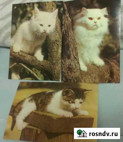 Открытки гдр + 1 япония чистые Раменское - изображение 1