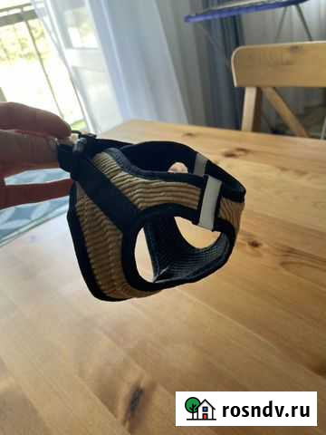 Шлейка для кошки, маленькой собачки Томск - изображение 1